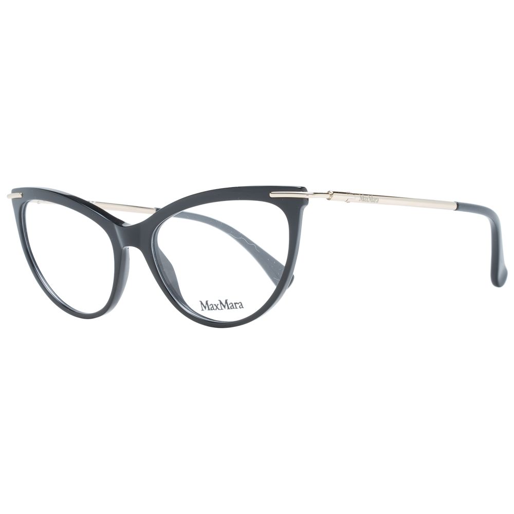 Black Plastic Glasses (Frames)