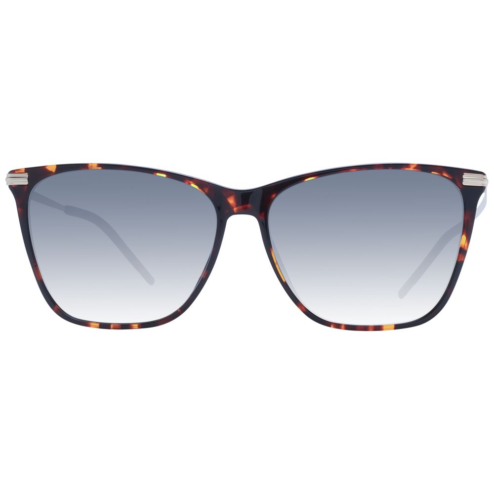 Brown Acetate Sunglasses